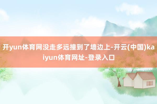 開yun體育網沒走多遠撞到了墻邊上-開云(中國)kaiyun體育網址-登錄入口