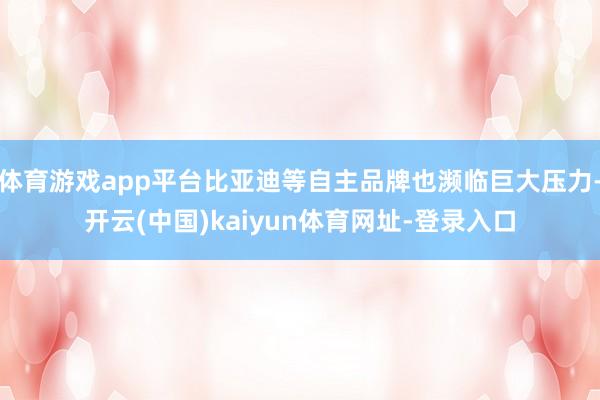 體育游戲app平臺比亞迪等自主品牌也瀕臨巨大壓力-開云(中國)kaiyun體育網(wǎng)址-登錄入口