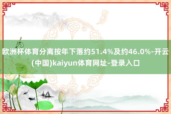 歐洲杯體育分離按年下落約51.4%及約46.0%-開云(中國)kaiyun體育網(wǎng)址-登錄入口