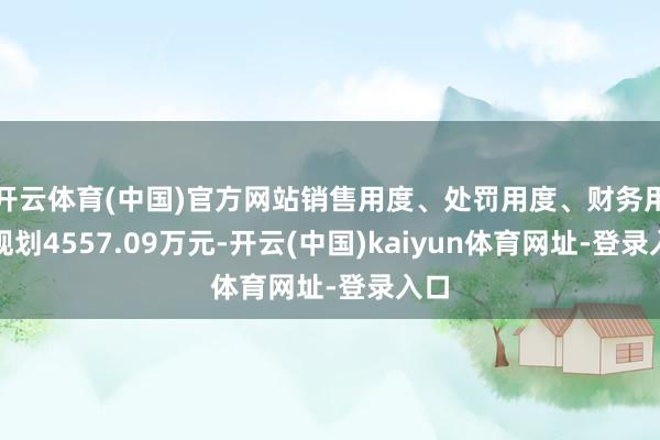 開云體育(中國)官方網站銷售用度、處罰用度、財務用度規劃4557.09萬元-開云(中國)kaiyun體育網址-登錄入口